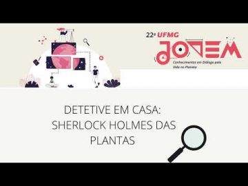 Detetive em casa: Sherlock Holmes das plantas